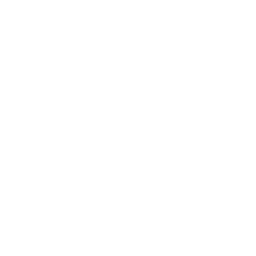 Security Testing Services